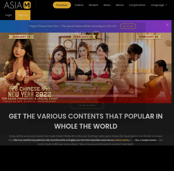 model media asia